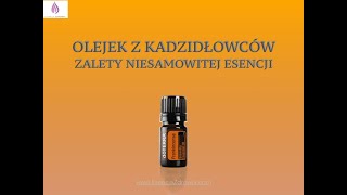 Kadzidłowiec  olejek eteryczny doTERRA Boswelia [upl. by Suruat]