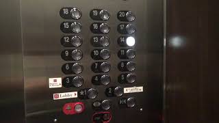 Modernized Haughton Traction Elevators  Hilton Garden Inn Buffalo Downtown  Buffalo NY [upl. by Thessa]