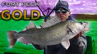 Chasing GIANT Walleye  Fort Peck  2020  OFFICIAL VIDEO [upl. by Adnohr]