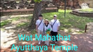 Wat Mahathat in Ayutthaya Thailand [upl. by Ennasirk122]