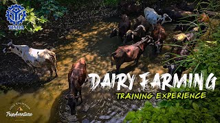 Dairy Farming Training sa Pilipinas  TESDA  Bulacan Agricultural Training Center Inc [upl. by Dniren66]