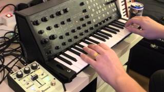 KORG ms20 mini jam session [upl. by Assiar]