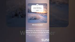 Winterzauber song music winter musik thekiliancraft newmusic songs [upl. by Iuqcaj]