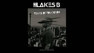 DJ Lakes B  Tears Of Tomorrow Visualizer [upl. by Gazo889]