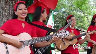 EL COLIBRI NAVIDEÑO  Las Garzoneñas [upl. by Vacla]