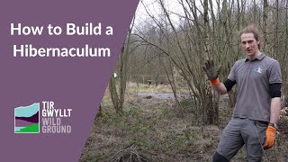 How to build a hibernaculum [upl. by Campos]