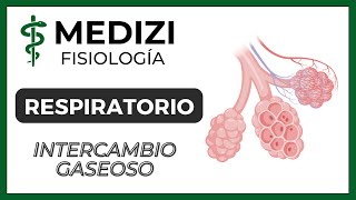 Clase 39 Fisiología Respiratoria  Intercambio Gaseoso Pulmonar Hematosis IGdoctorpaiva [upl. by Inohs]