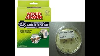 DIY Home Mold Test Kit Review [upl. by Sayres]