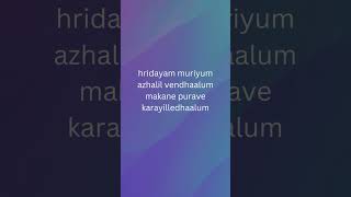 Hridayam muriyum vazha movie song [upl. by Atews]