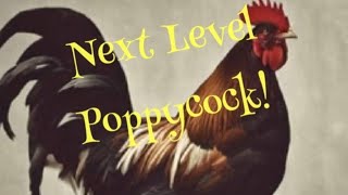 Next Level Poppycock [upl. by Deragon707]