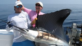 Costa Rica Fishing Sailfish Marlin Los Suenos Bait Ball [upl. by Aicitel]