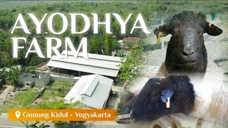 Ayodhya Farm  Gunung Kidul Yogyakarta [upl. by Yecac]