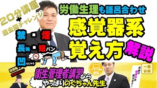 27 衛生管理者【のぐちゃん先生】感覚器系の覚え方！労働生理も語呂合わせで覚える！20分講習過去問チャレンジ！ [upl. by Onairelav803]