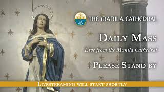 Daily Mass at the Manila Cathedral  November 13 2024 730am [upl. by Alekram697]