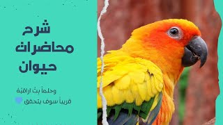 شرح محاضرة علم حيوان شعبه الرخويات phylum mollseca و شعبة مخلبيات الارجل onychophora [upl. by Ploch579]