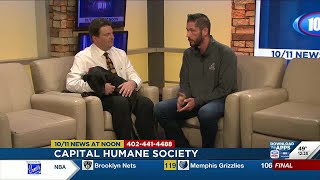 Capital Humane Society introduces us to Porky [upl. by Nilhsa607]