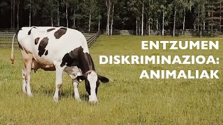 ENTZUMEN DISKRIMINAZIOA ANIMALIAK [upl. by Neltiac]