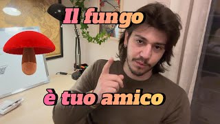 MICORRIZE IL FUNGO E TUO AMICO [upl. by Aryt438]