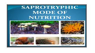 Saprophytes Video No 534 [upl. by Emalia]