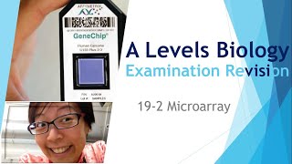 Microarrays  A Levels Biology  Key Success in Scoring A  192 [upl. by Vic]