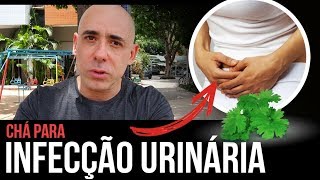 O QUE USAR PARA INFECÇÃO URINÁRIA  Dr Dayan Siebra [upl. by Ellenwahs550]