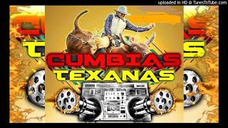 PURAS CUMBIAS TEXANAS MIX  PURO TEJANO MIX [upl. by Harwill]