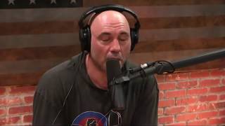 Joe Rogan on Addiction amp Wasting Your Life [upl. by Akahc]