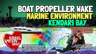 Boat Propeller Wake and Marine Environment Sustainability in Kendari Bay universitashaluoleo [upl. by Erodavlas]