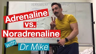 Adrenaline versus Noradrenaline  epinephrine versus Norepinephrine [upl. by Anivad]