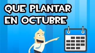 QUE PLANTAR O SEMBRAR EN OCTUBRE Calendario de Siembra [upl. by Ynatsyd603]