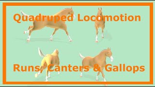 Quadruped Runs Canters amp Gallops [upl. by Eileek]