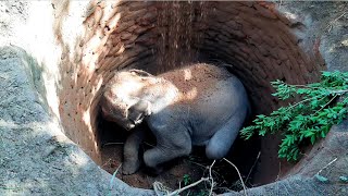 Heart touching  Elephant starving in an abandoned pit Ask help from the villagers to free him [upl. by Gotcher]