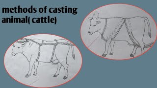 method of casting  Reuffs method [upl. by Curnin]