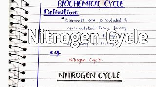 Nitrogen cycle  Nitrogen fixation [upl. by Osborn71]