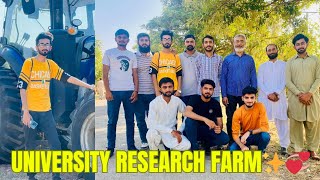 Arid University Research Farm Chakwal ✨❣️vlog vlogging agriculturehoneybees [upl. by Hanonew707]