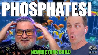 Managing PHOSPHATE Levels in Your Saltwater Aquarium  Newbie Tank Build [upl. by Anauj81]