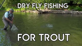 Dry Fly Fishing for Trout Tips [upl. by Bueschel799]