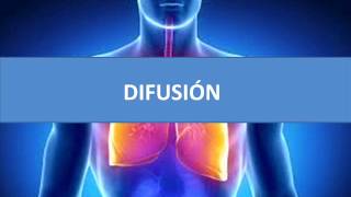 Difusión  Fisiopatología respiratoria [upl. by Chatwin]