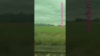 VLINE Southern Cross To Warrnambool 141223 victoria shorts shortvideo train travel views [upl. by Yaker250]