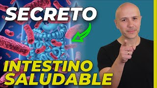 ¡EL SECRETO NO CONTADO PARA MEJORAR TU SALUD INTESTINAL  PREBIÓTICOS Y PROBIÓTICOS [upl. by Veleda399]