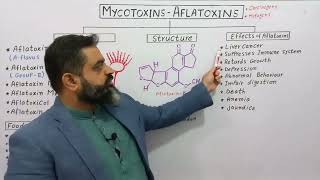 Aflatoxins UrduHindi medium Prof Masood fuzail  Mycotoxins  Types of Aflatoxin [upl. by Nalepka]