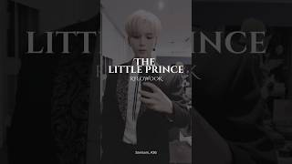 The Little Prince sanisani436sujulirik superjunior smtown ryeowook kpoplyrics [upl. by Nolrac516]