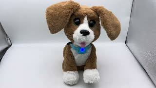 Hasbro FurReal Friends Chatty Charlie The Beagle Dog Interactive Plush [upl. by Aicirtal]