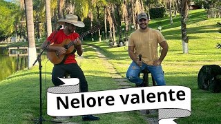 Nelore valente [upl. by Adrian]