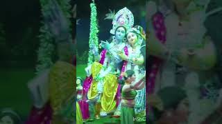 Jhula jhulo radhe rani love song radhakrishna viralvideo shortvideo youtube subscribe [upl. by Ihculo167]