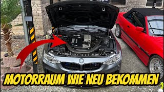 Motorraum fast wie Neu M4 Motorraum reinigen und pflegen Green Star amp Motorplast [upl. by Terrel554]