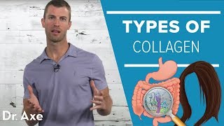 Types of Collagen with Jordan Rubin [upl. by Greenebaum965]