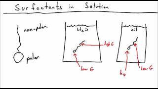 Introduction to Surfactants [upl. by Ahsiekit]