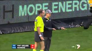 Goal umpire down  AFL [upl. by Imalda350]