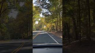 Autumn Driving in the afternoon driving road dashcam [upl. by Nylorahs461]